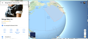 How to leave a google review in google maps 